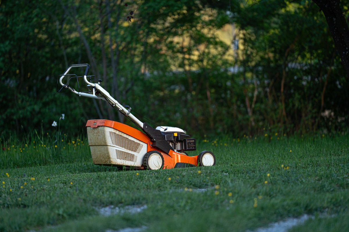 Gemähter Rasen in einem Garten, Rasenmäher abgestellt